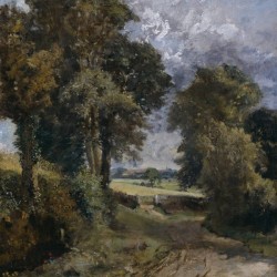 A Cornfield in the distance